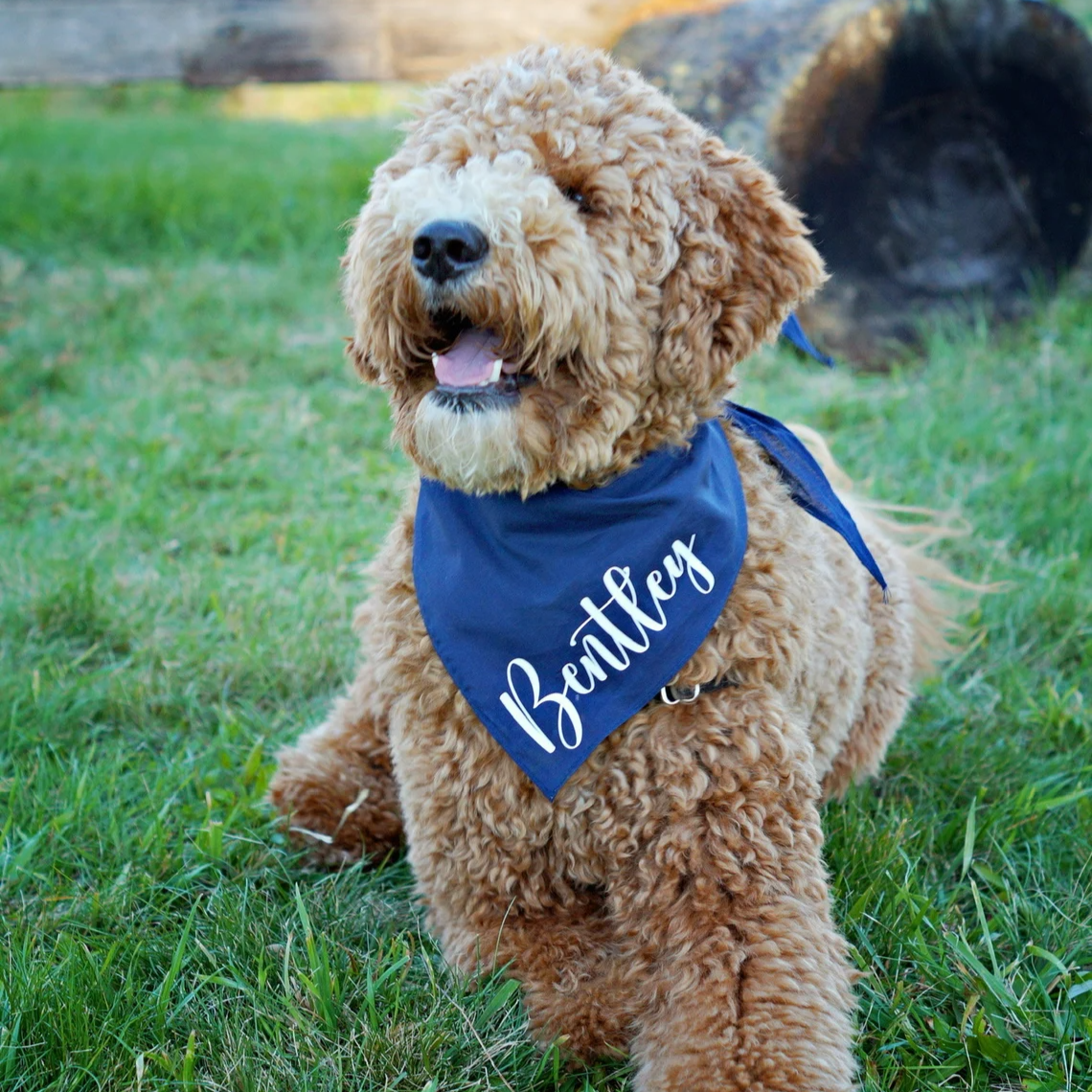 Personalized Dog Bandana