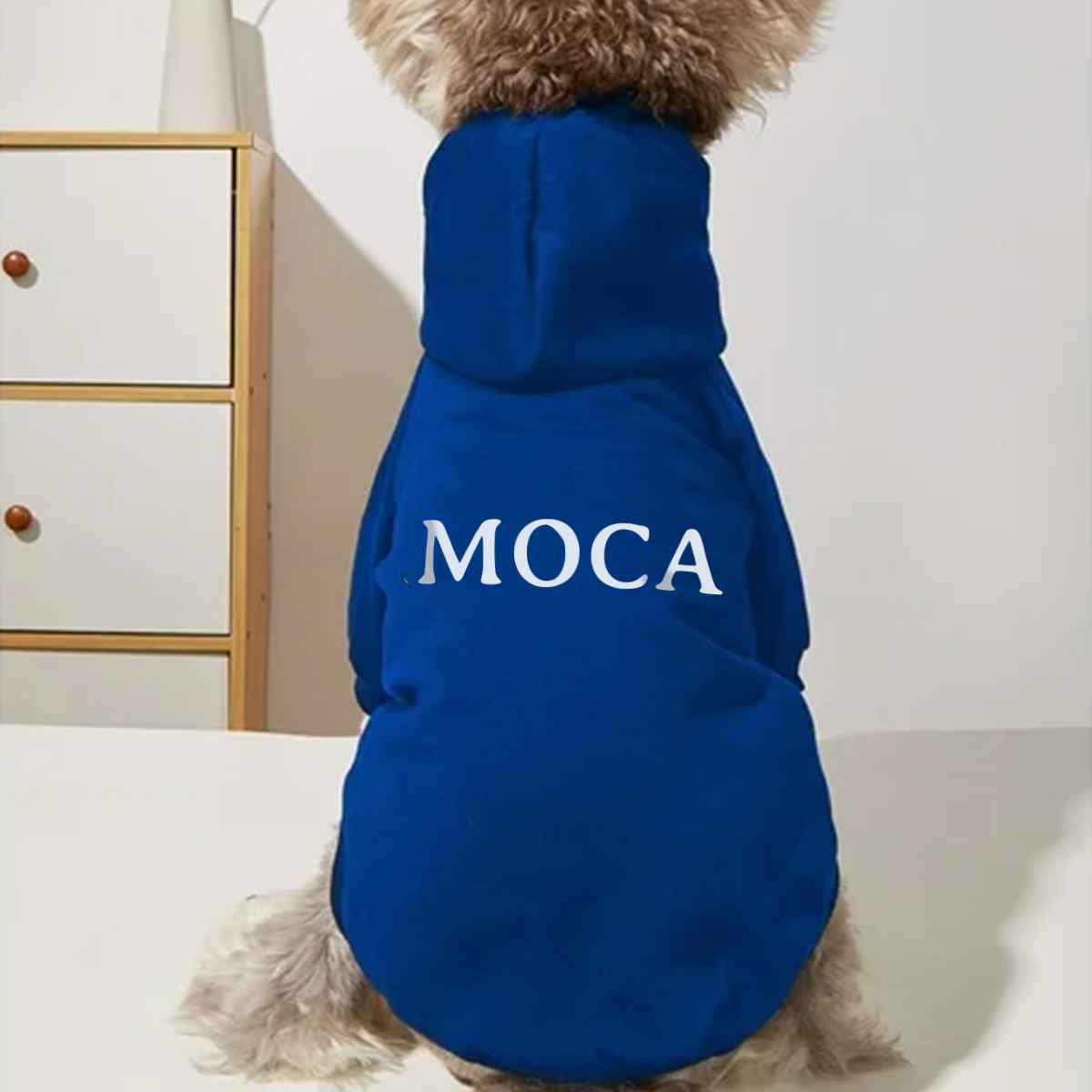 Personalized Dog Hoodie